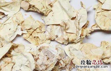 椿白皮的功效与作用图片 椿白皮的功效与作用