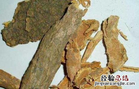 椿白皮的功效与作用图片 椿白皮的功效与作用