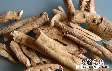 椿白皮的功效与作用图片 椿白皮的功效与作用