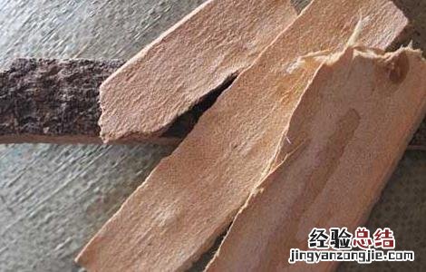 椿白皮的功效与作用图片 椿白皮的功效与作用