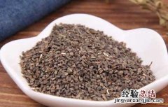 茺蔚子的功效与作用及禁忌 茺蔚子的功效与作用