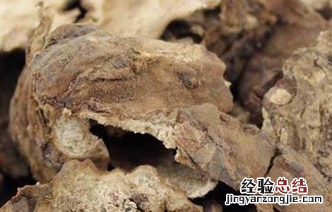 中药赤茯苓的功效与作用 赤茯苓的功效与作用