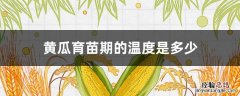 黄瓜苗在多少温度种 黄瓜育苗期的温度是多少