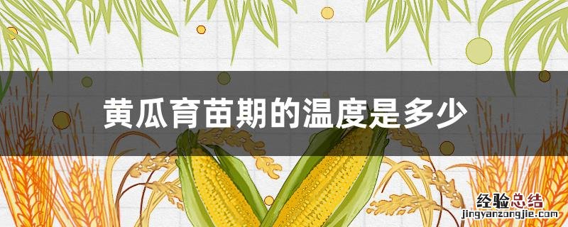 黄瓜苗在多少温度种 黄瓜育苗期的温度是多少