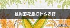 桃树落花后打什么农药 桃树落花后打什么药好