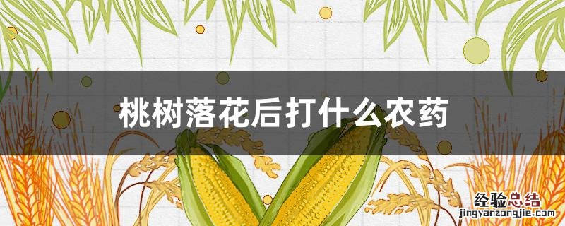 桃树落花后打什么农药 桃树落花后打什么药好