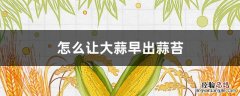 蒜苔怎么让蒜苔出来早 怎么让大蒜早出蒜苔