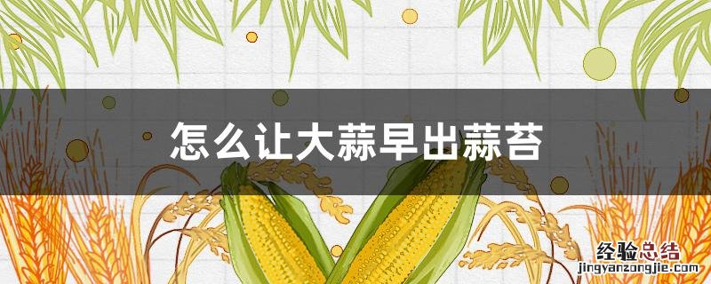 蒜苔怎么让蒜苔出来早 怎么让大蒜早出蒜苔