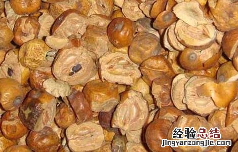 白芥子的功效与作用 白芥子的功效与作用,白芥子的副作用