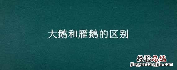 大鹅和雁鹅有什么区别 大鹅和雁鹅的区别