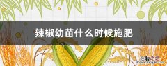 辣椒幼苗什么时候施肥 辣椒苗何时施肥