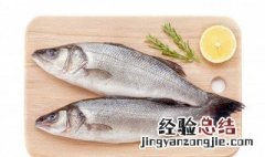 滑口鱼怎么钓 如何钓黑坑滑口鲤鱼和回锅鱼