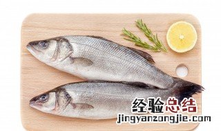滑口鱼怎么钓 如何钓黑坑滑口鲤鱼和回锅鱼