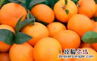 柑果和橘子有什么区别 柑果和橘子的区别