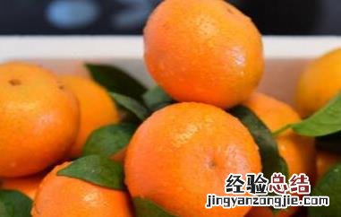 柑果和橘子有什么区别 柑果和橘子的区别