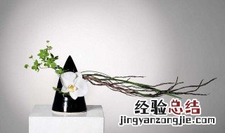 东方式插花起源于中国距今多少年历史 东方式插花起源于中国