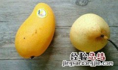 芒果和梨子能一起吃吗会中毒吗 芒果和梨子能一起吃吗