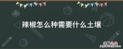 辣椒怎么种需要什么土壤 辣椒生长适合用什么土壤