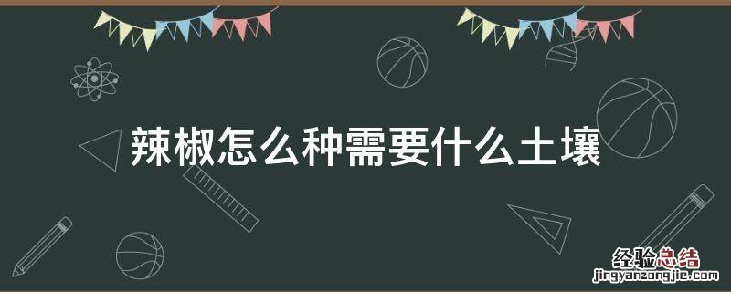 辣椒怎么种需要什么土壤 辣椒生长适合用什么土壤