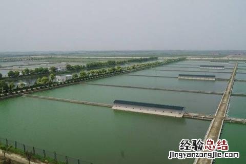 水产养殖风险分析，面对不同的风险需不同的解决方案