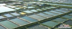 水产养殖风险分析，面对不同的风险需不同的解决方案