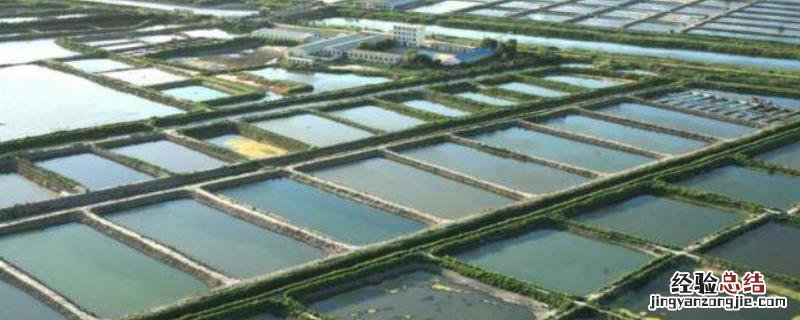 水产养殖风险分析，面对不同的风险需不同的解决方案