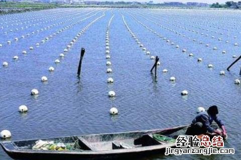 水产养殖风险分析，面对不同的风险需不同的解决方案