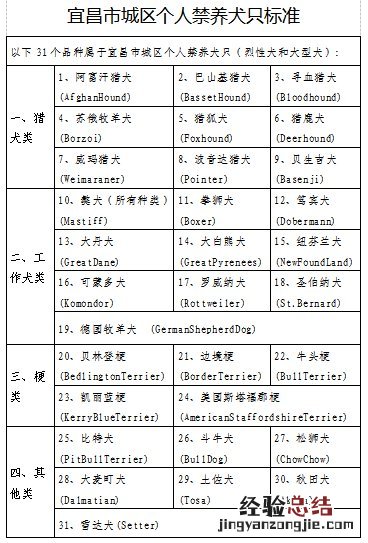 宜昌养狗规定 宜昌养狗需要办什么证