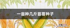一亩种几斤苜蓿种子 苜蓿一斤能种多少地
