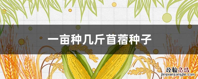 一亩种几斤苜蓿种子 苜蓿一斤能种多少地