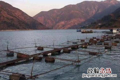网箱养鱼的优势 网箱养鱼的优缺点