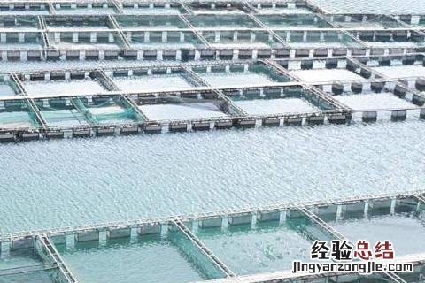 网箱养鱼的优势 网箱养鱼的优缺点