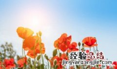 感谢所有的遇见与陪伴句子图片 感谢所有的遇见与陪伴句子