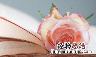 早安短句暖心 早安短句暖心英语
