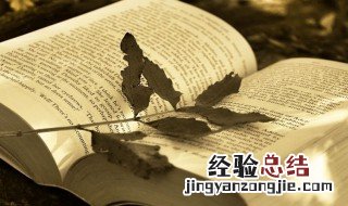 椴树是什么意思 什么叫椴树