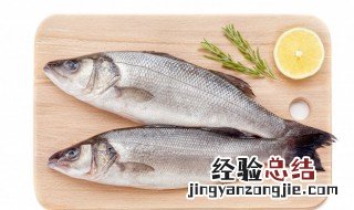 初春钓鲫鱼如何找钓点 牢记这三点轻松找钓点
