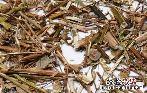 倒扣草的功效与作用图片 倒扣草的功效与作用