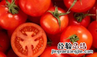一个小西红柿的热量 小西红柿的热量