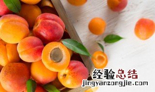 吃杏会拉肚子吗 吃杏愿意拉肚吗