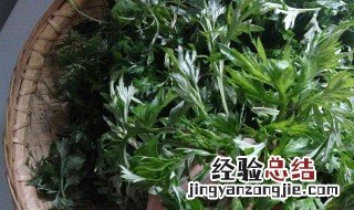 湖南蒿子粑粑用的什么蒿 湖南蒿子粑粑用什么蒿