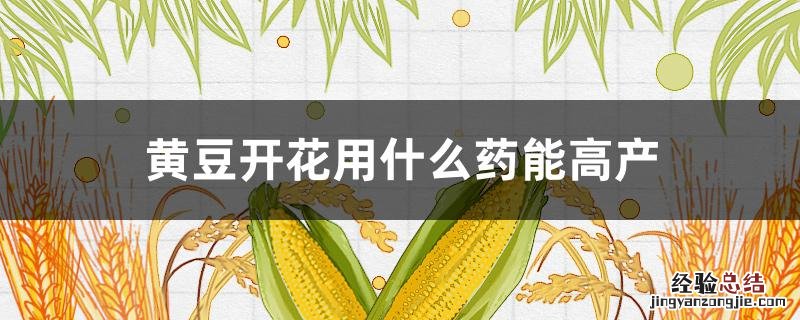 黄豆开花需要打药吗 黄豆开花用什么药能高产
