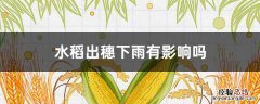 下雨对水稻穗有影响吗 水稻出穗下雨有影响吗