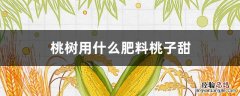 桃树喂什么肥料甜? 桃树用什么肥料桃子甜