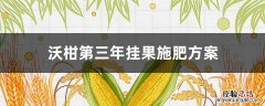 沃柑第三年挂果施肥方案 挂果沃柑施水肥方案