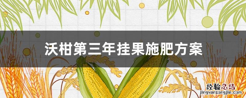 沃柑第三年挂果施肥方案 挂果沃柑施水肥方案