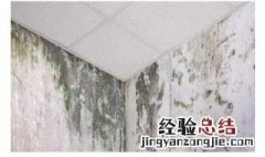 墙布出现黑斑怎么办 墙布出现黑斑怎么处理
