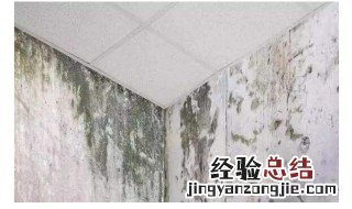 墙布出现黑斑怎么办 墙布出现黑斑怎么处理