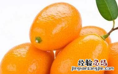 金桔籽的功效与作用及食用方法 金桔籽的功效与作用