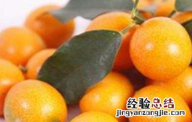 金桔籽的功效与作用及食用方法 金桔籽的功效与作用
