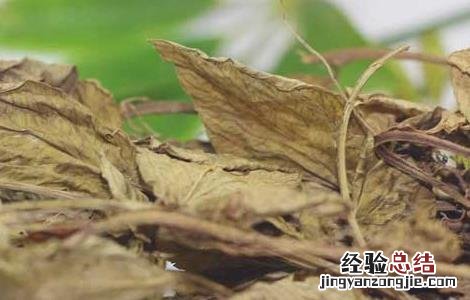 灵香草的功效与作用是什么 灵香草的功效与作用
